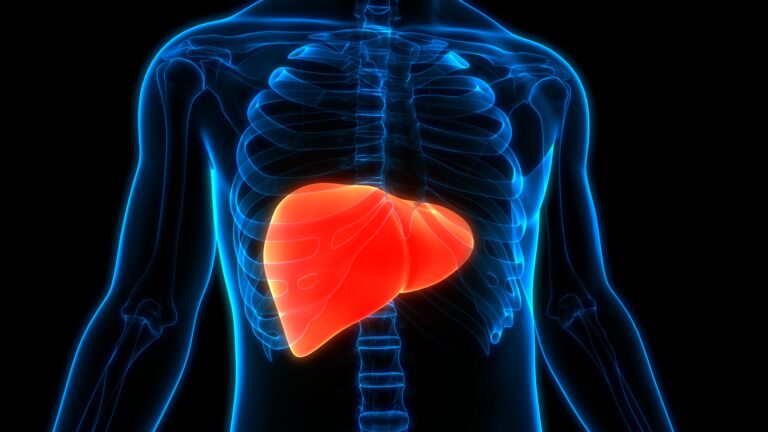 Understanding Non-Alcoholic Fatty Liver Disease